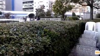 ブルマん娘 かな 森沢かな